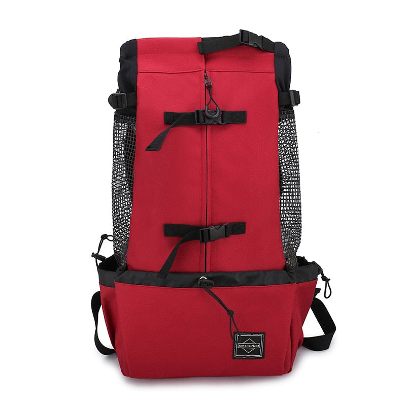 Bezpečné tlapky pro pohodlné cestování 5