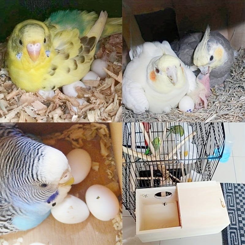 Dřevěná venkovní ptačí hnízdní budka s bidýlkem - bezpečná hnízdní budka pro malé druhy ptáků 3