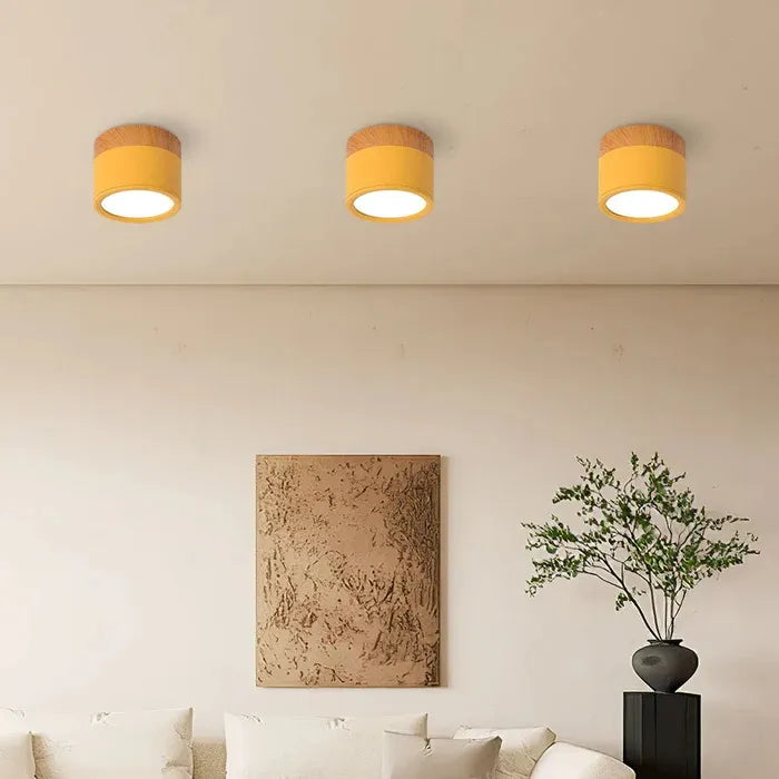 Elegance světla Malá stropní lampa s jedinečnou září 0