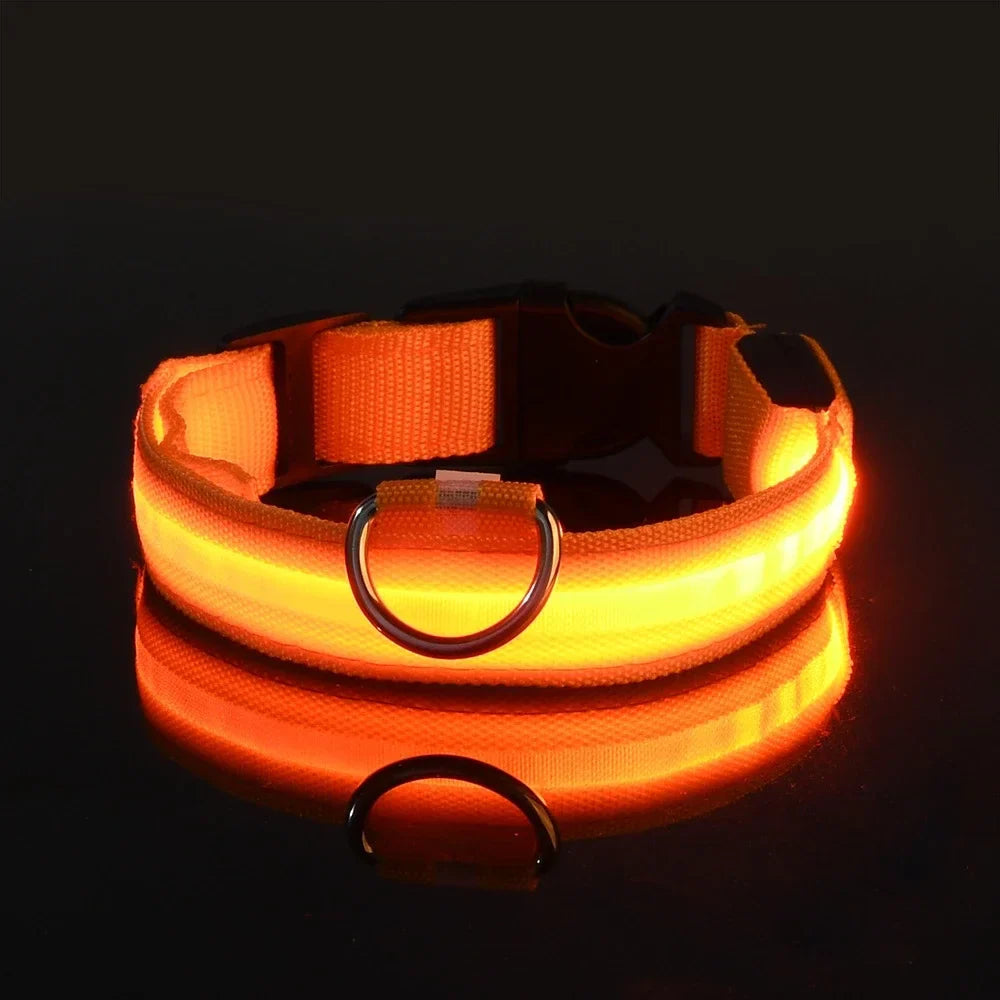 Fluorescenční LED obojek pro psy pro bezpečné večerní procházky 0