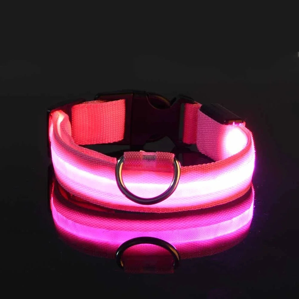 Fluorescenční LED obojek pro psy pro bezpečné večerní procházky 2