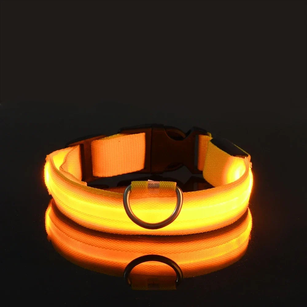 Fluorescenční LED obojek pro psy pro bezpečné večerní procházky 3