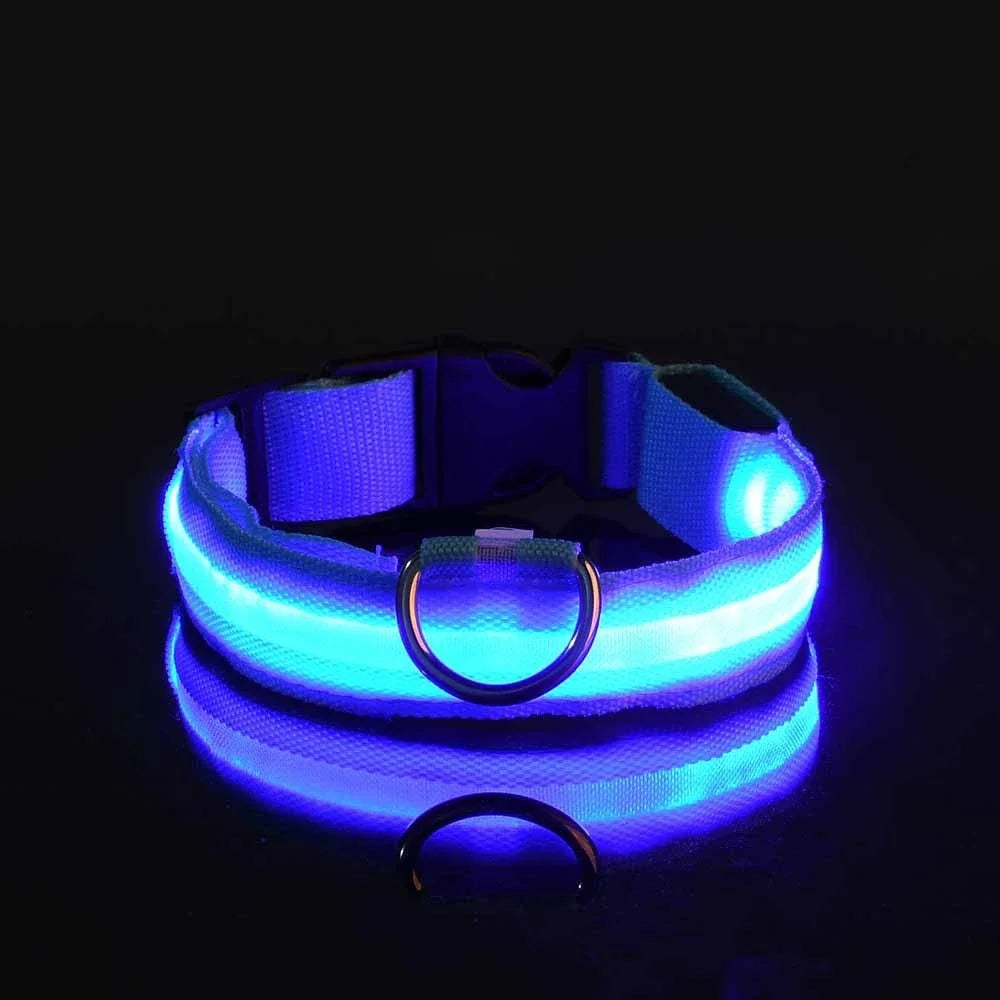 Fluorescenční LED obojek pro psy pro bezpečné večerní procházky 4