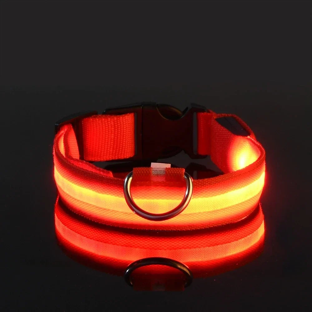 Fluorescenční LED obojek pro psy pro bezpečné večerní procházky 5