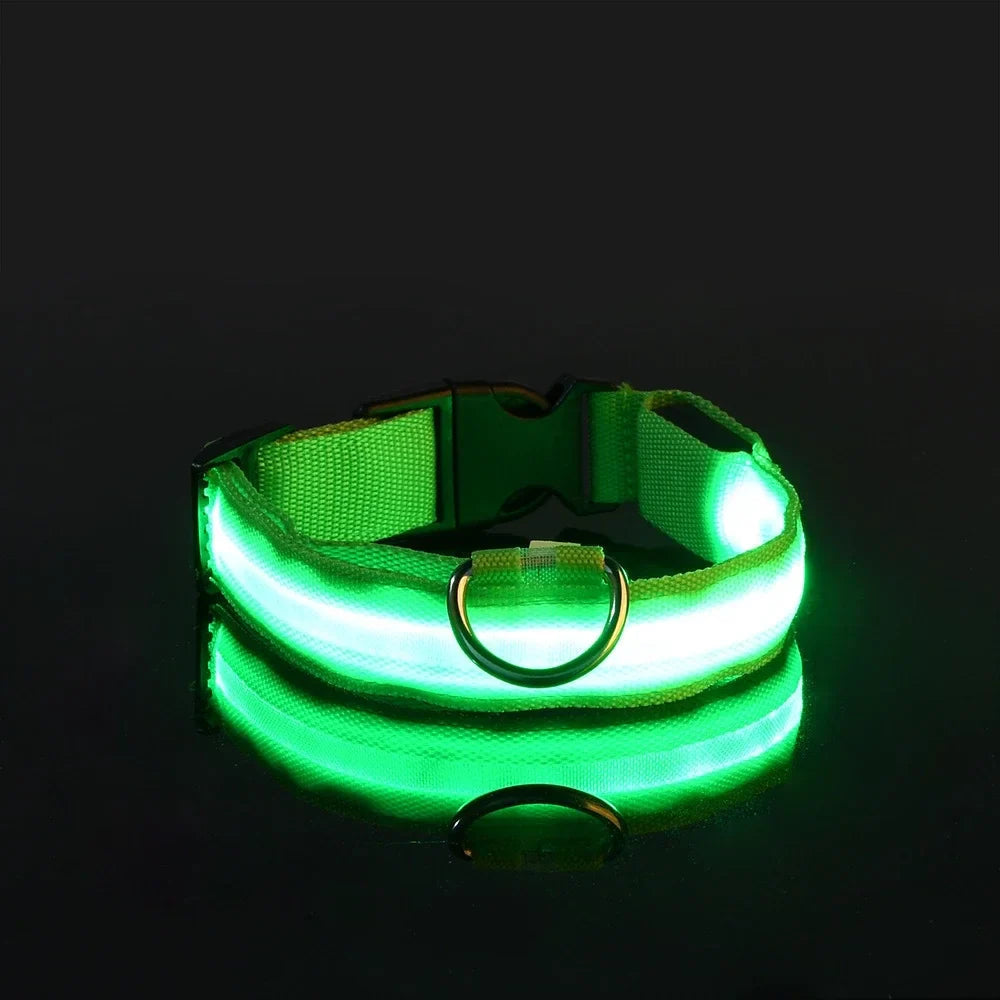 Fluorescenční LED obojek pro psy pro bezpečné večerní procházky 6