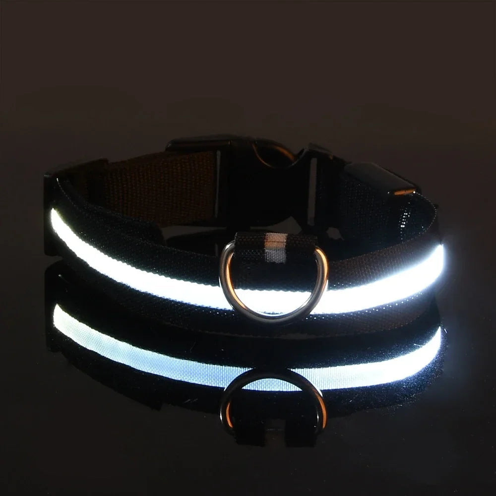 Fluorescenční LED obojek pro psy pro bezpečné večerní procházky 7