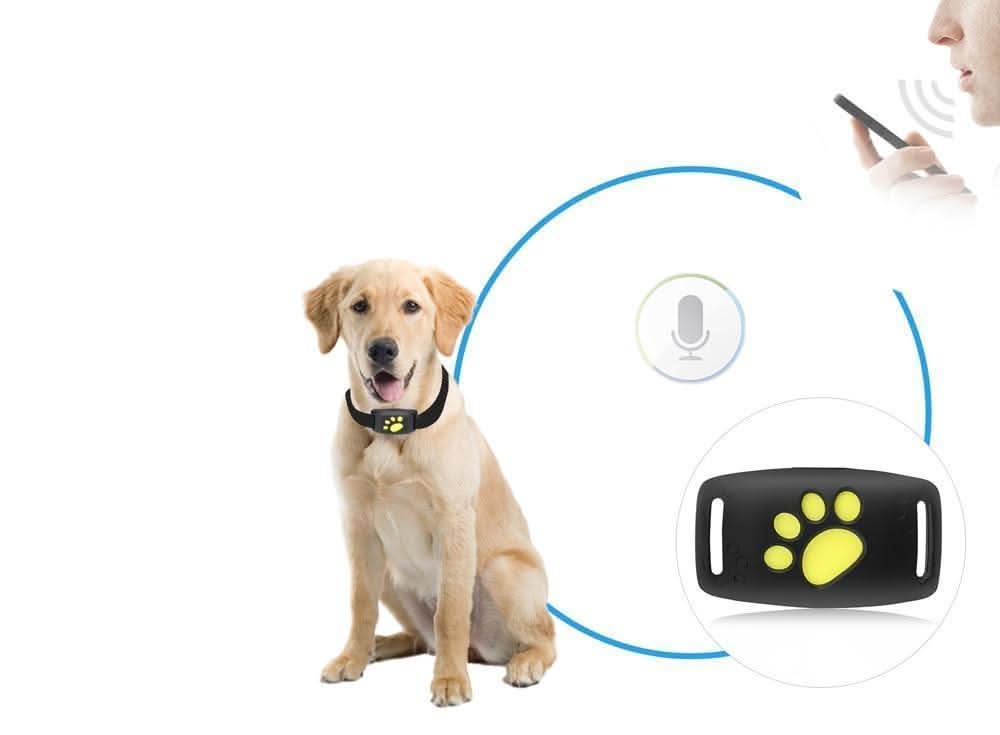 GPS obojek pro kočky s reálným sledováním polohy a lehkým designem, ideální pro bezpečné venčení a 3