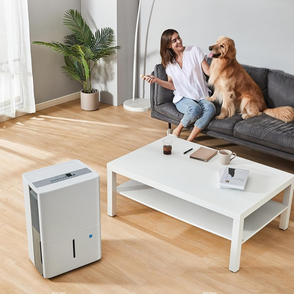 Přenosný odvlhčovač s inteligentním ovládáním do koupelny a ložnice – tichý, energeticky úsporný vysoušeč vzduchu, denní odstraňování vlhkosti o objemu 22 pintů 1