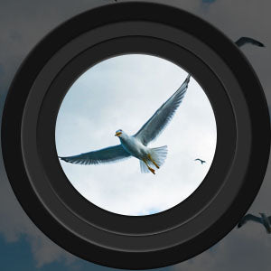 Vysoce kvalitní dalekohled 60x60 pro outdoorová dobrodružství s nočním viděním 4